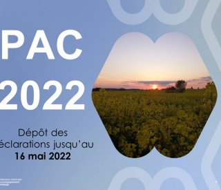 PAC 2022 Declarations