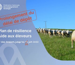 Plan de resilience2