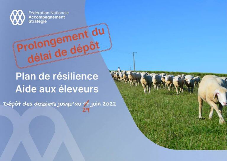 Plan de resilience2