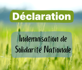 Declaration 1