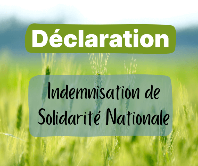 Declaration 1