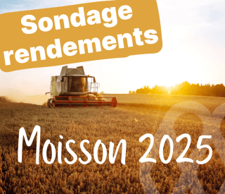 Sondage rendements Facebook