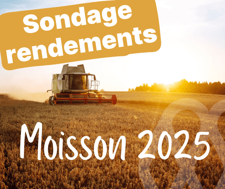 Sondage rendements Facebook