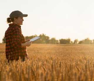 shutterstock 2261126235 2