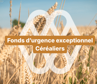 Fonds durgence exceptionnel Cerealiers