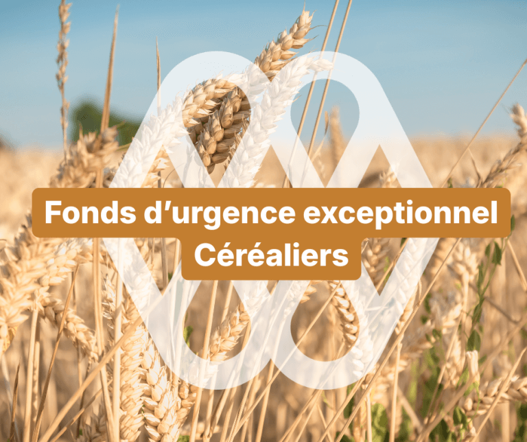 Fonds durgence exceptionnel Cerealiers